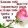 Люда Стаднічук фотография #30 (источник - https://vk.com/id71381138)