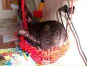 Фотография  