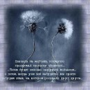 ®®® Butirata ®®® фотография #41 (источник - https://vk.com/id78739519)