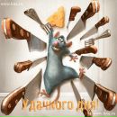 Юлек Джус фотография #42 (источник - https://vk.com/id9201648)