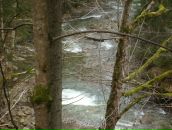 Андрій Кващенко фотография #35 (источник - https://vk.com/id16760121)