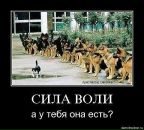 Динара Сагитовна фотография #33 (источник - https://vk.com/id71741346)