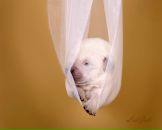 Фотография Захаровой Екатерины