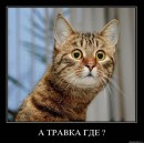 Андрій Гойнацький фотография #3 (источник - https://vk.com/id18357030)