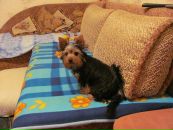 Ігор Баленко фотография #13 (источник - https://vk.com/id93853930)