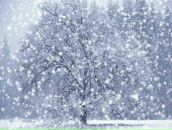 Фотография Скурихиной Юлии