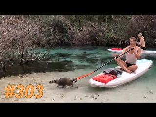 Приколы март 2017 №303