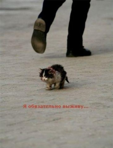 №6, Валентина Митр, Молодечно №6, Валентина Митр, Молодечно