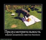 Детский Морг фотография #46 (источник - https://vk.com/id8447544)