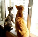 Фотография Галкиной Катюши