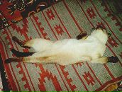 Фотография Матковой Ирины