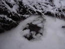 Бодя Іванцов фотография #22 (источник - https://vk.com/id14053303)
