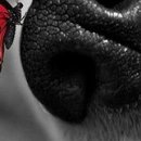 Софія Михальчук фотография #21 (источник - https://vk.com/id132793257)