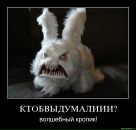 Тима Мороз фотография #29 (источник - https://vk.com/id249775)