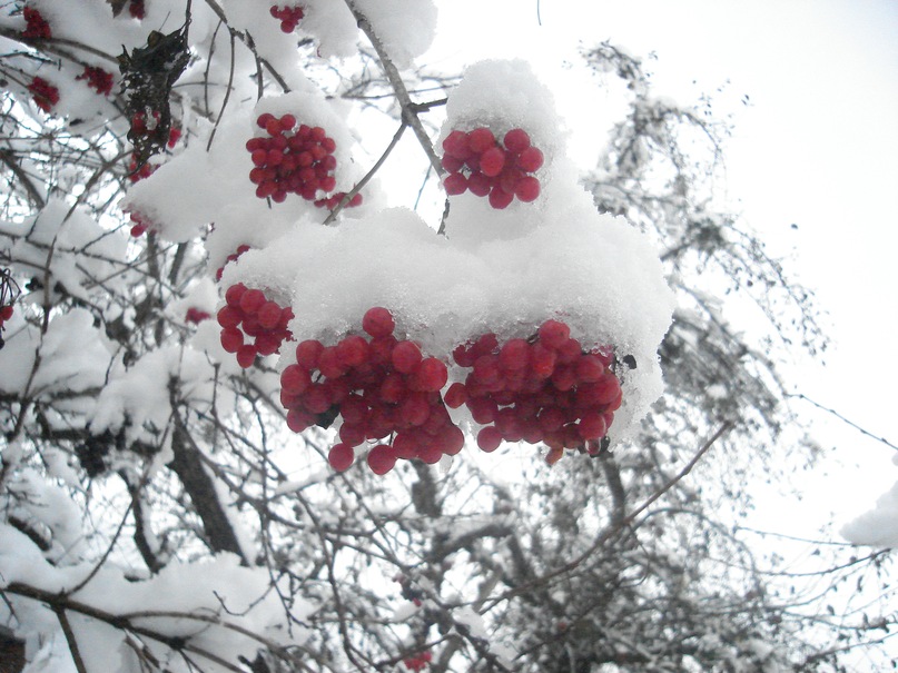 Era New фотография #39