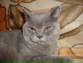 Фотография Маликова Владимира