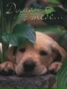 Ліза Кох фотография #31 (источник - https://vk.com/id94423636)