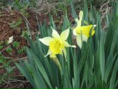 Фотография Андреевой Надежды