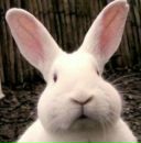 Фотография Savrasov Aleksei