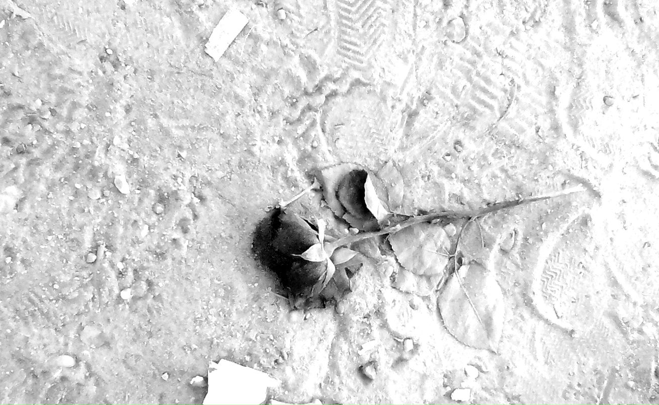 Даниил Шульман фотография #11