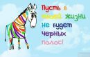 Ігор Панасенко фотография #19 (источник - https://vk.com/id30625196)
