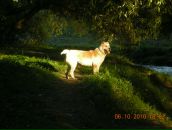 Фотография Смирновой Виктории