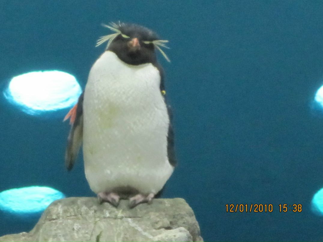 Дмитрий Тимонин фотография #43