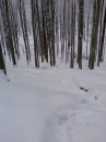Вася Сірий фотография #16 (источник - https://vk.com/id70227408)