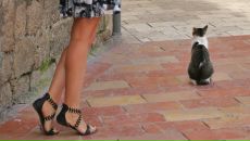 Фотография Саниной Екатерины