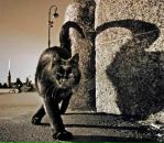 Фотография Митина Кирилла Ингварсона