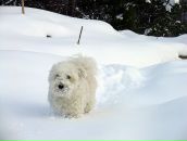 Роман Масалёв фотография #14 (источник - https://vk.com/id108017)