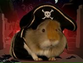 Фотография Ермолюка Андрея