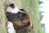 Кирилл Митяев фотография #8 (источник - https://vk.com/id6828811)