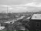 Фотография Чернодеда Пашка