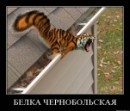Дмитрий Копейкин фотография #49 (источник - https://vk.com/id318059)