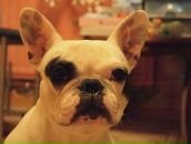 Фотография Красивовой Юли