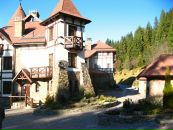 Світлана Николин фотография #36 (источник - https://vk.com/id94570225)