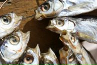 Фотография Касьяненко Александра