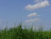 Ірина Лучка фотография #2 (источник - https://vk.com/id57029887)