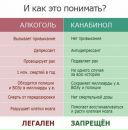 Олексій Маслов фотография #9 (источник - https://vk.com/id75730578)
