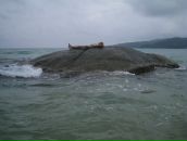 Фотография Трояна Сергея