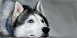 Фотография Ласьковой-Перепелкиной Ирины