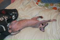 Фотография Перфиловой Анастасии