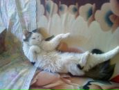 Фотография Косенковой Светланы