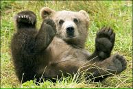 Виталик Струков фотография #19 (источник - https://vk.com/id11014591)