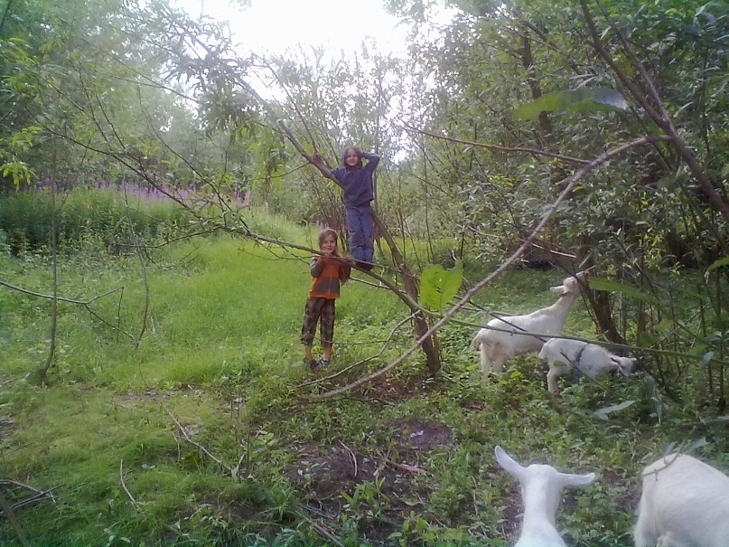 Оля Ефименко фотография #13