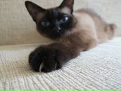 Иван Нави фотография #30 (источник - https://vk.com/id155927)