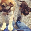 Фотография Шаленкина Романа