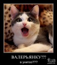 Віка Стрілець фотография #24 (источник - https://vk.com/id132754415)