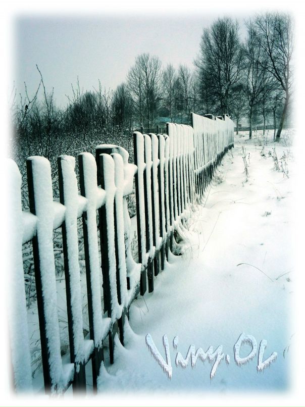 Владимир Иванов фотография #21